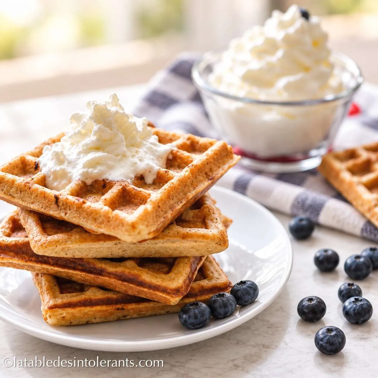 GAUFRES sans gluten, sans lait, sans sucre et sans levure